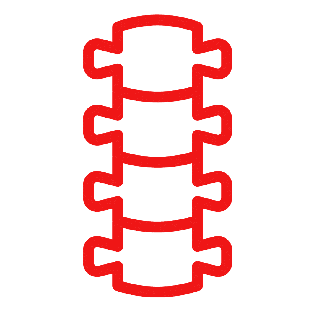 Illustration of a human spine