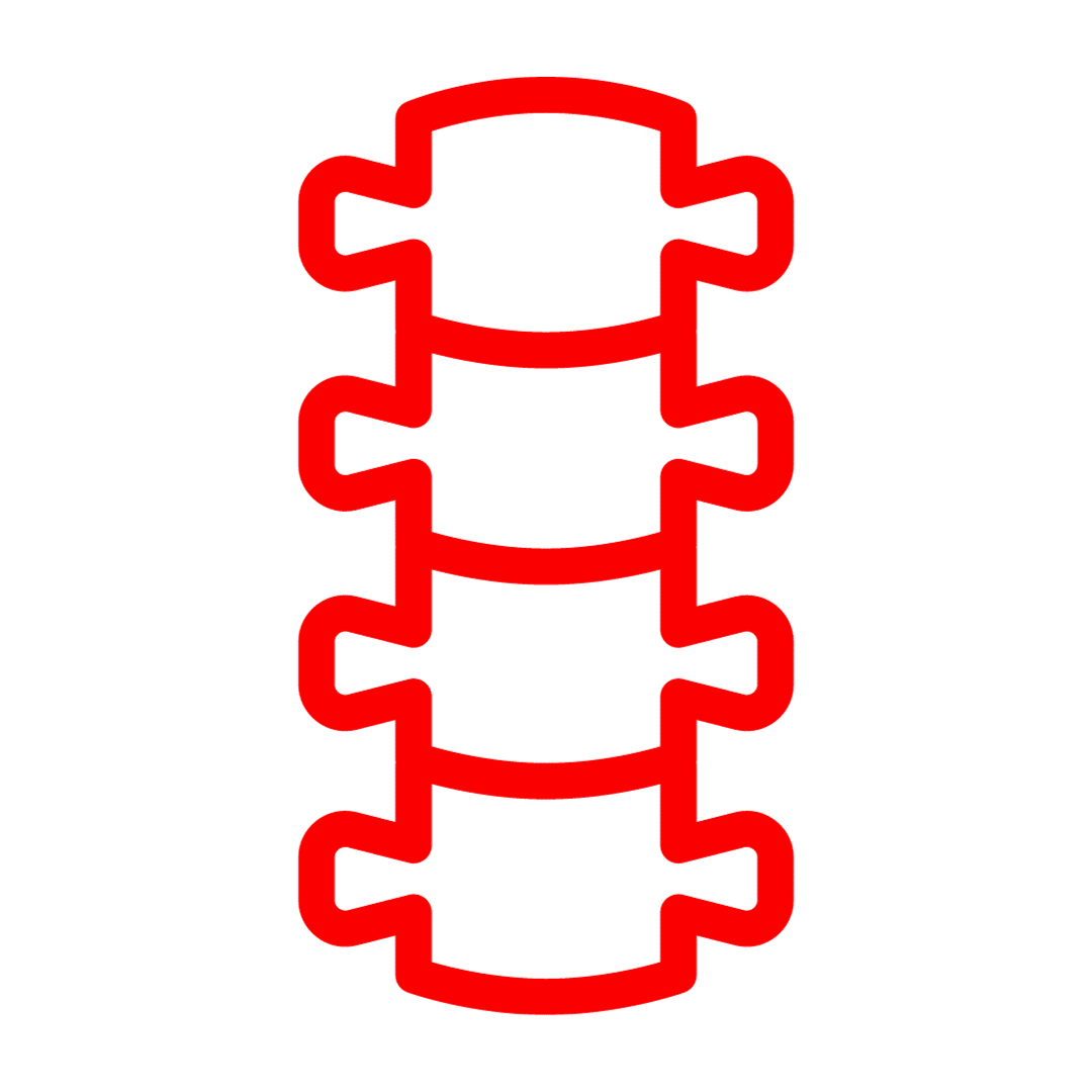 Illustration of a human spine