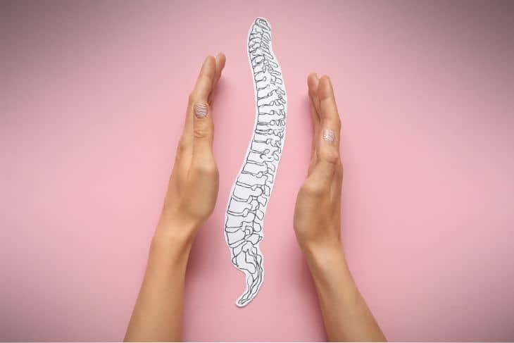 A visual representation of a kid's spine - Chiropractic Care